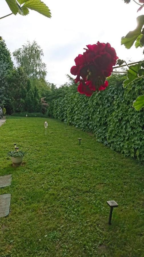 Apartament Liliana Vendeghaz Balatonfůzfő Zewnętrze zdjęcie