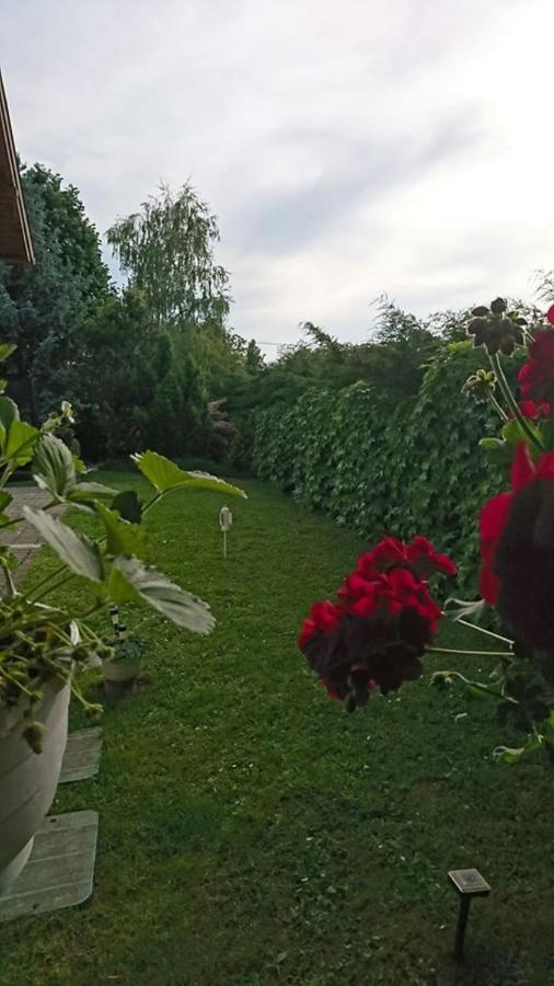 Apartament Liliana Vendeghaz Balatonfůzfő Zewnętrze zdjęcie